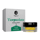 Happease CBD Extracts Terpsolate 97% CBD - Image 3