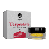 Happease CBD Extracts Terpsolate 97% CBD - Image 4