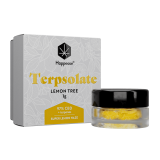 Happease CBD Extracts Terpsolate 97% CBD - Image 5