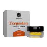 Happease CBD Extracts Terpsolate 97% CBD - Image 6